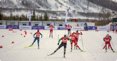 Спорт