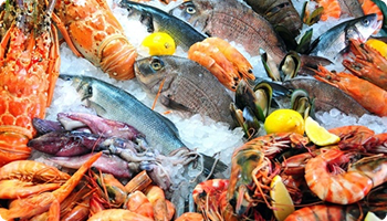 Впервые в 2025 году партии рыбной продукции отправили в Норвегию и Китай